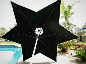 Black star shaped umbrella