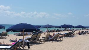 Navy Blue beach umbrellas with loungers on beach