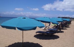 aruba beach umbrellas in a line on the beach