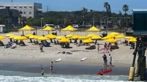 cluster of yellow umbrellas on beach
