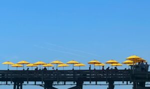 line of yellow umbrellas on pier (Below Shot)